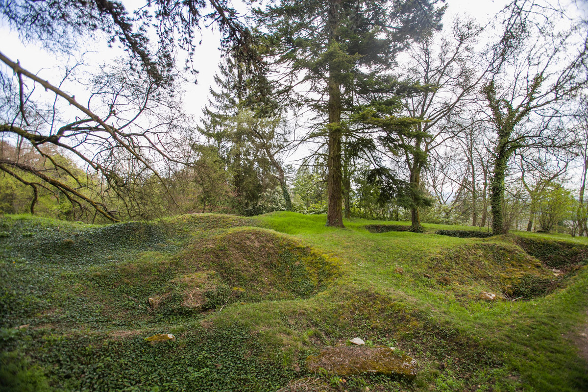 vue sur l'arboretum et sa terre dévastée par les obus (Aisne, Craonne)