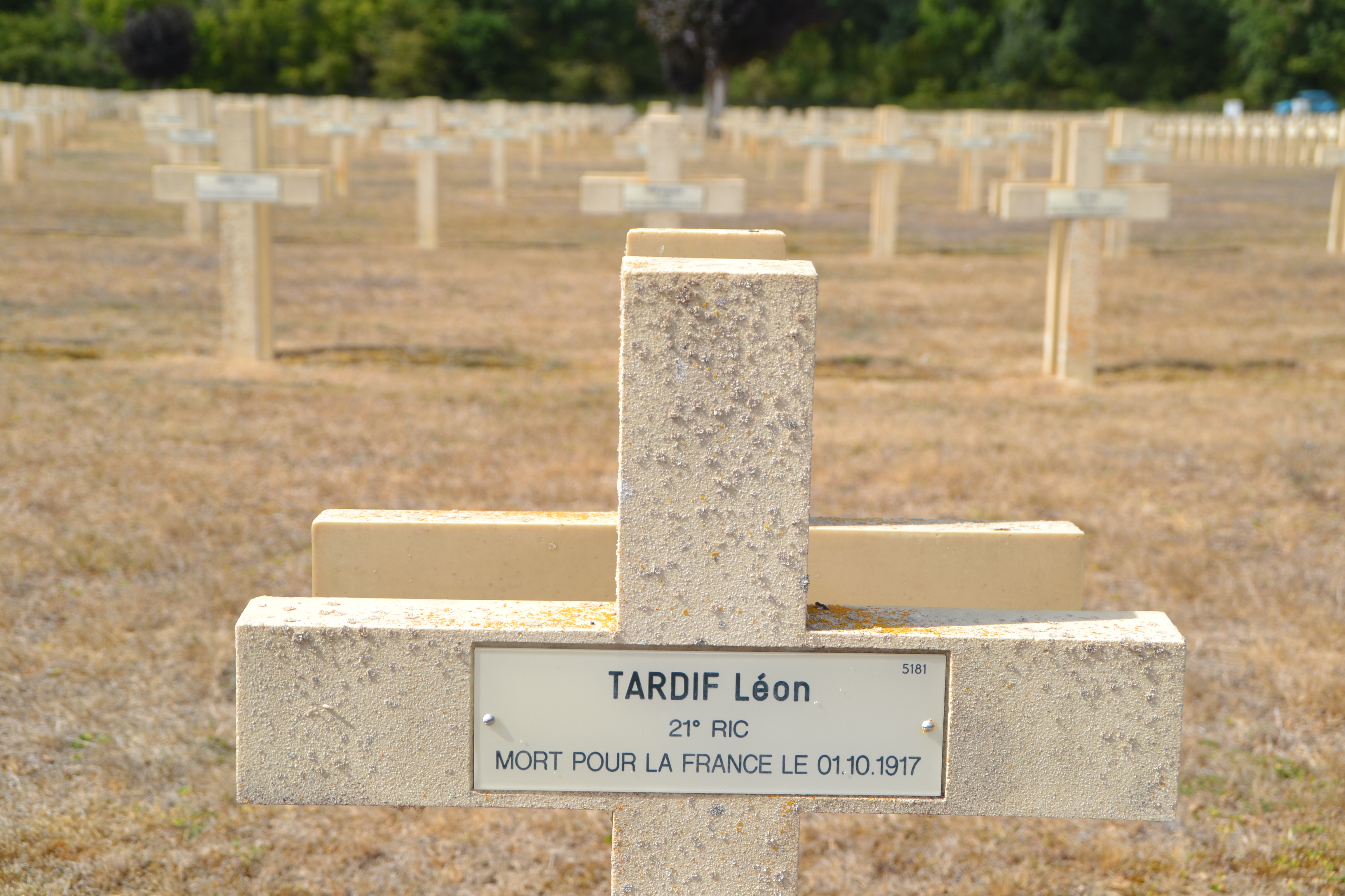 Tardif Léon sépulture à Pontavert (Aisne)