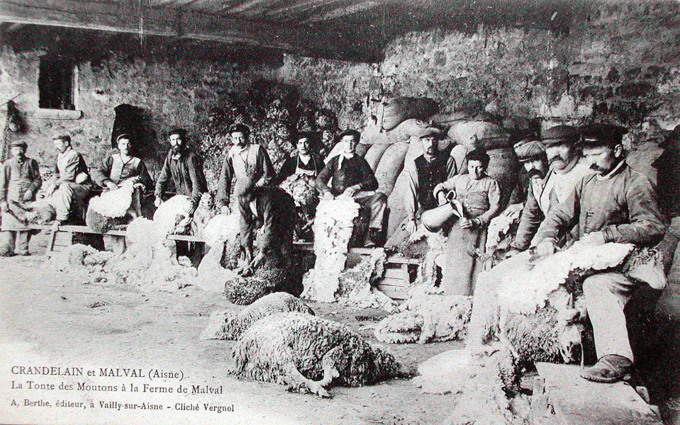 Crandelain, la tonte des moutons à la ferme de Malval vers 1905