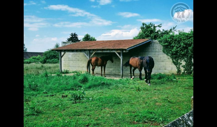 LARGNY SUR AUTOMNE Le Manoir de la Cour