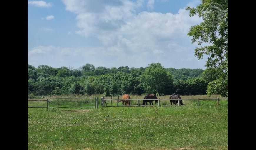 LARGNY SUR AUTOMNE Le Manoir de la Cour