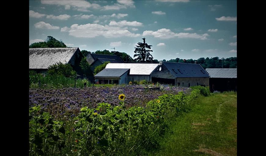 NANTEUIL-LA-FOSSE Gîte du moulin à vent