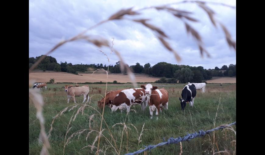 NANTEUIL-LA-FOSSE Gîte du moulin à vent