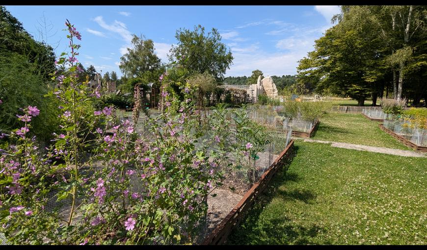 Jardin de plantes médicinales I < Bouconville-Vauclair < Aisne < Hauts-de-France