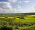 Panorama caverne du dragon Chemin des Dames < Aisne < Picardie