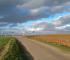 Paysage Chemin des Dames < Aisne < Picardie