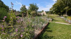 Jardin de plantes médicinales I < Bouconville-Vauclair < Aisne < Hauts-de-France